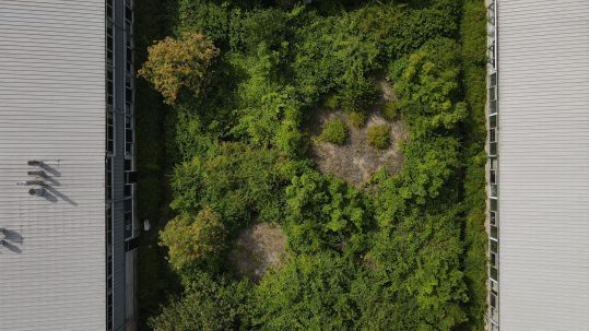Dronebillede af gårdhave