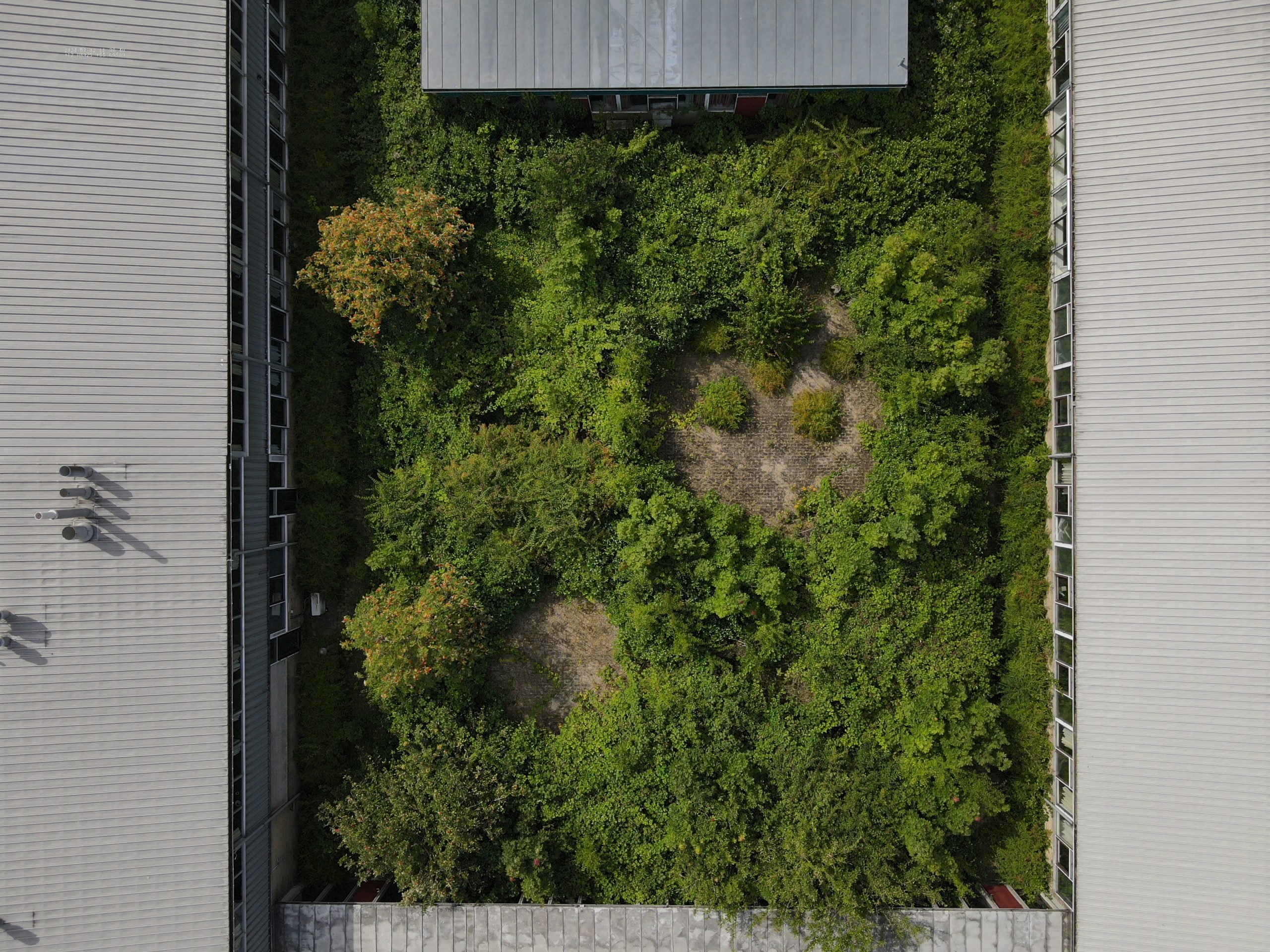 Dronebillede af gårdhave